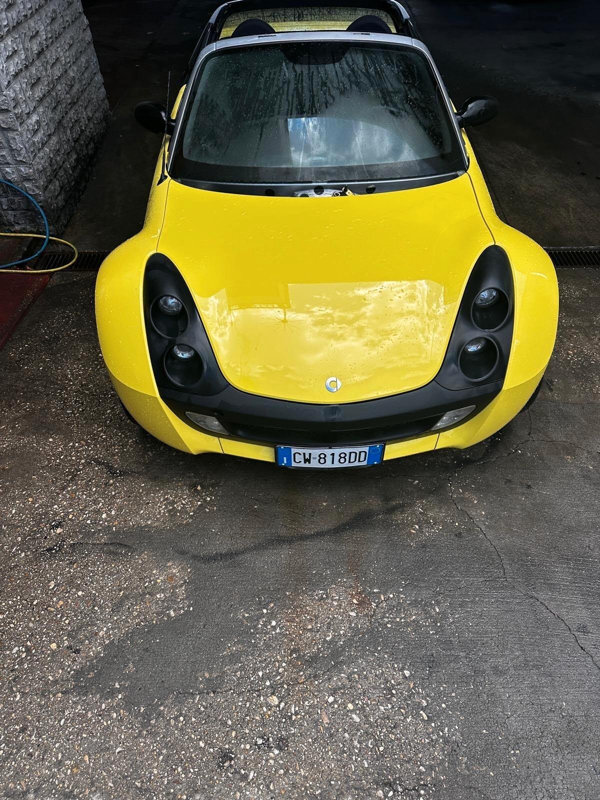 Smart Roadster 700 (45 kw) pulse clima
