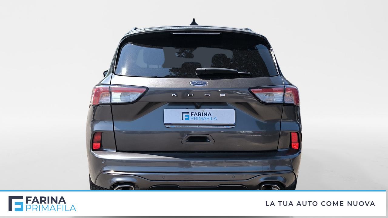 FORD Kuga III 2020 - Kuga 1.5 ecoblue ST-Line X 2wd 120cv auto
