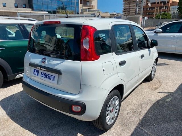 Fiat Panda 1.2 Easy Neopatentati IVA DEDUCIBILE