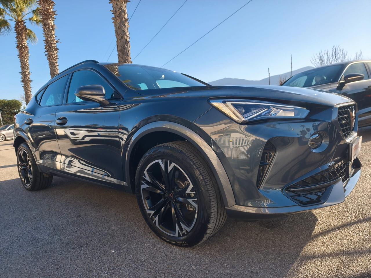 CUPRA FORMENTOR 2.0TDI 4DRIVE DSG FULL OPT