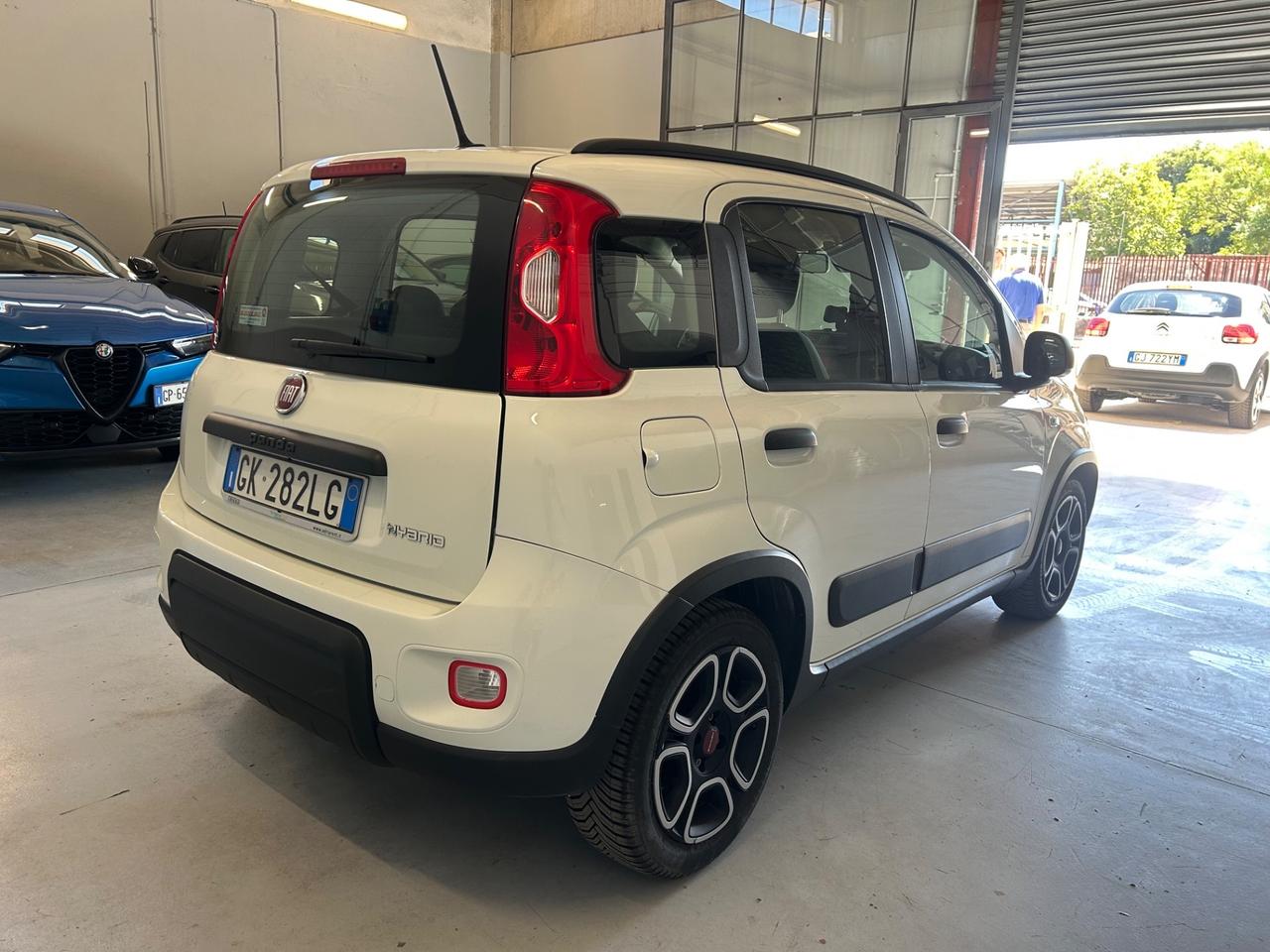 FIAT PANDA 1.0 FireFly 70cv S&S Hybrid City Life