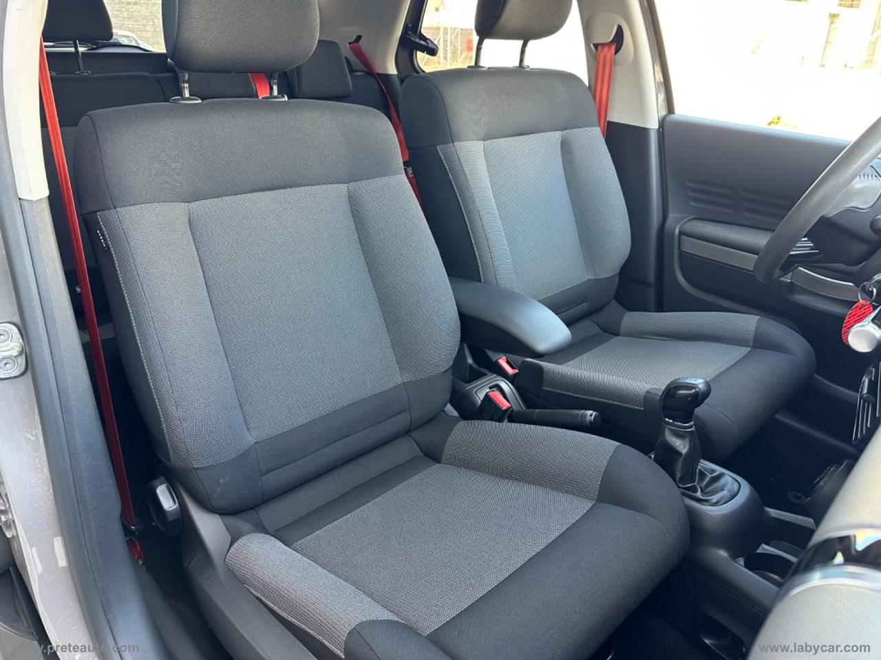 CITROEN C4 Cactus BlueHDi 100 Rip Curl