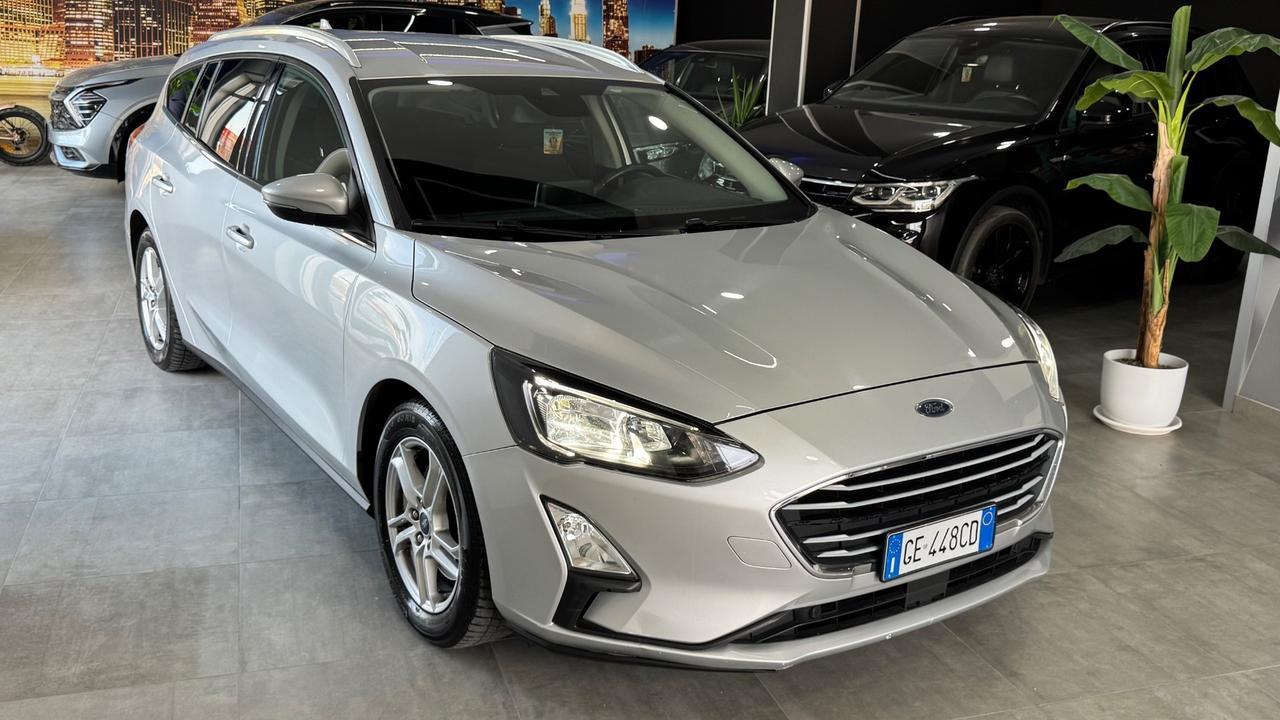 Ford Focus 1.5 EcoBlue 120 CV SW Business-2021