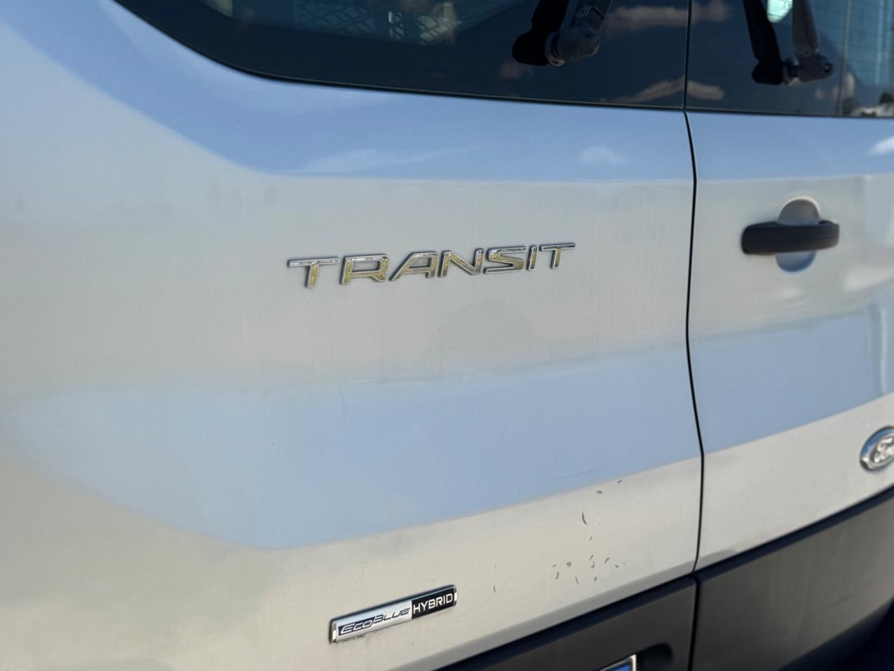Ford Transit TRASPORTO DISABILI