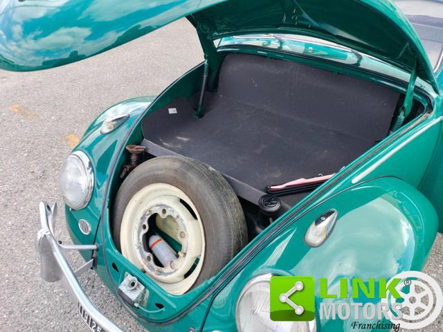 VOLKSWAGEN Maggiolino 6 VOLT
