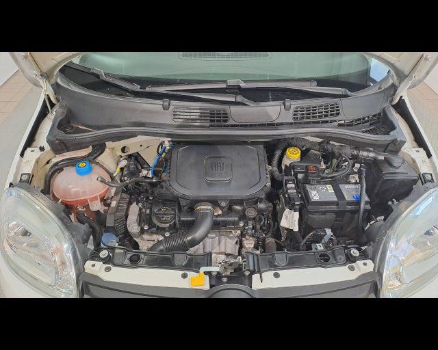 FIAT New Panda 1.0 firefly Hybrid 70cv 5 posti