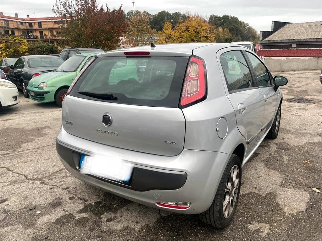 Fiat Punto Evo Punto Evo 1.4 5 porte Active Natural Power