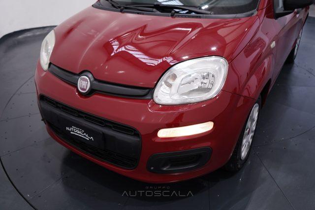 FIAT Panda 1.2 69cv Easy