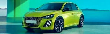 Peugeot 208 PureTech 100 Stop&Start 5 porte Style
