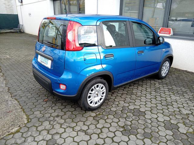 FIAT Panda 1.0 MILD HYBRID MANUALE PANDINA OK NEOPATENTATO