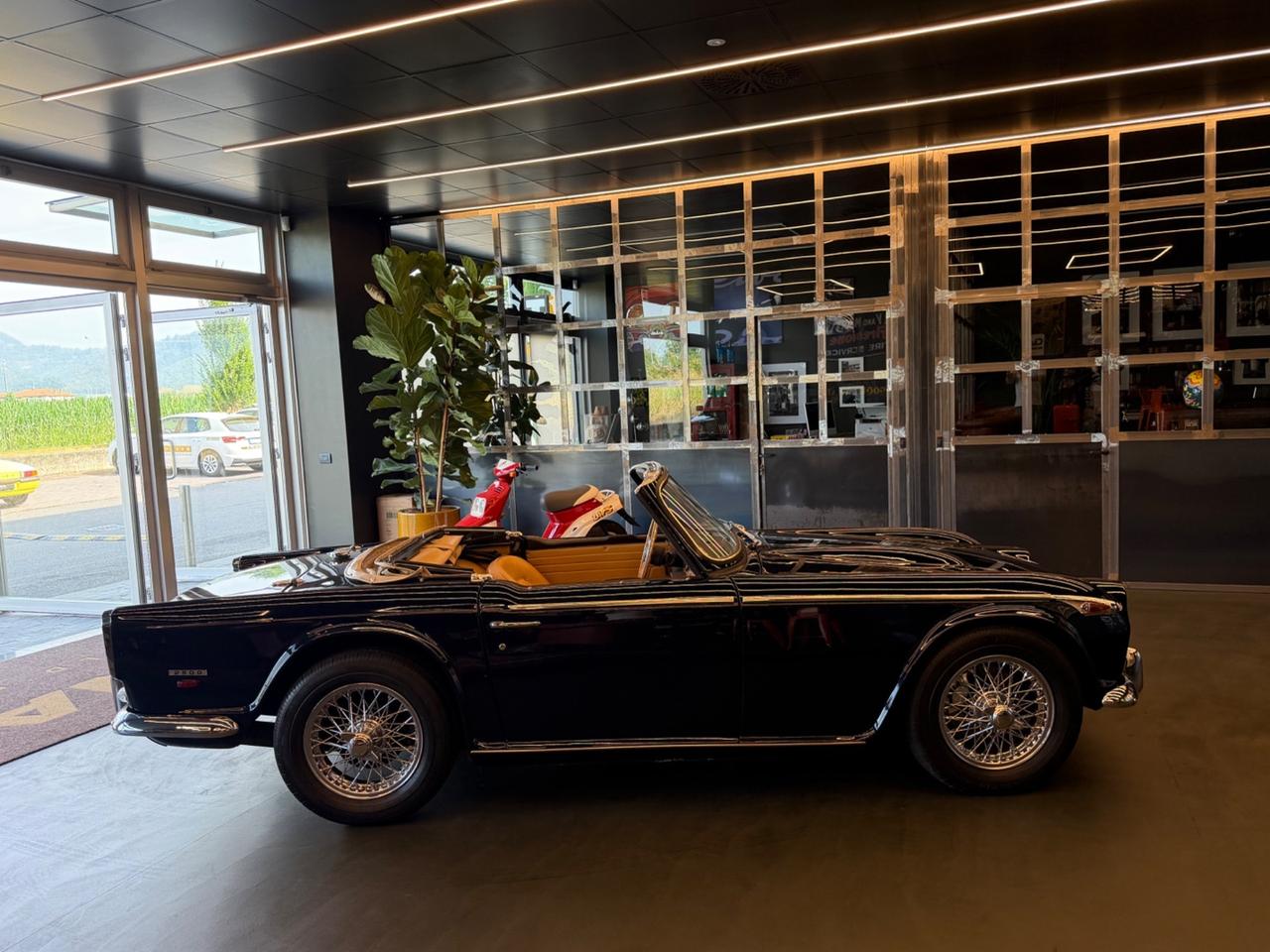 Triumph TR5 1CP -Europen Version– Original LHD