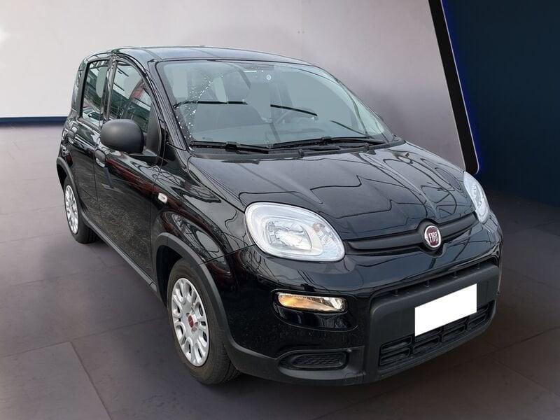FIAT Panda My24 1.0 70cv Hybrid Panda