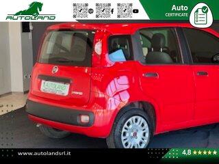 Fiat Panda 1.0 firefly hybrid s&s 70cv 5p.ti