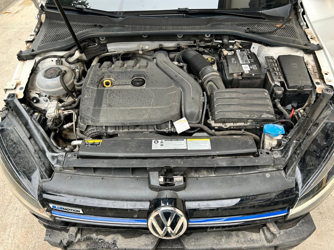 VW GOLF 1.5 TGI *DSG - 2020 Incidentata