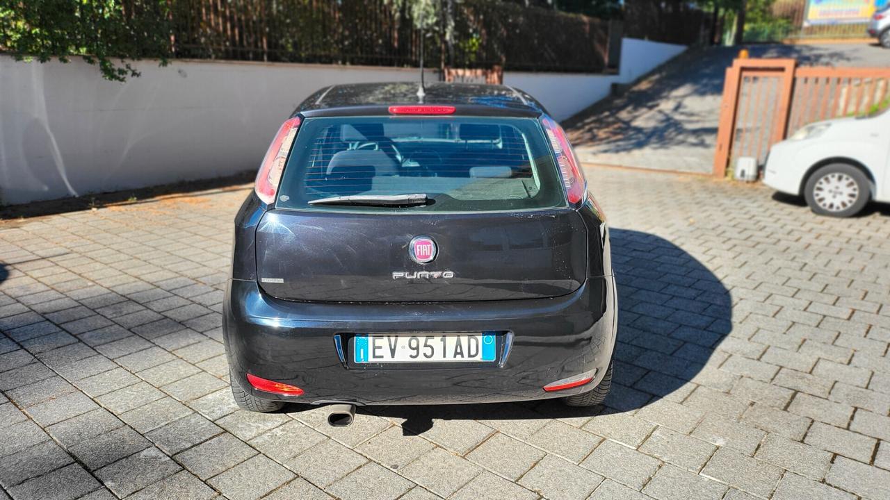 Fiat Punto 1.2 8V 5 porte Street