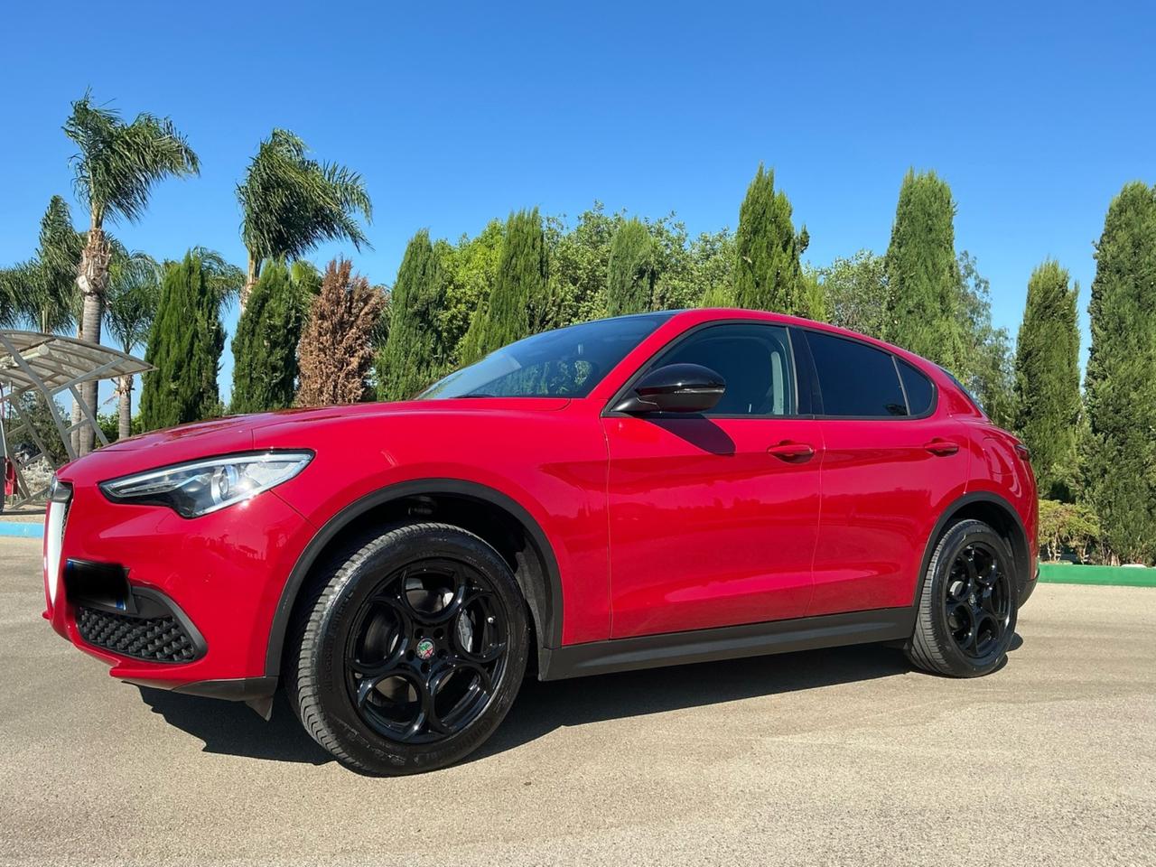 Alfa Romeo Stelvio 2.2 Turbodiesel 160 CV AT8 RWD 2019
