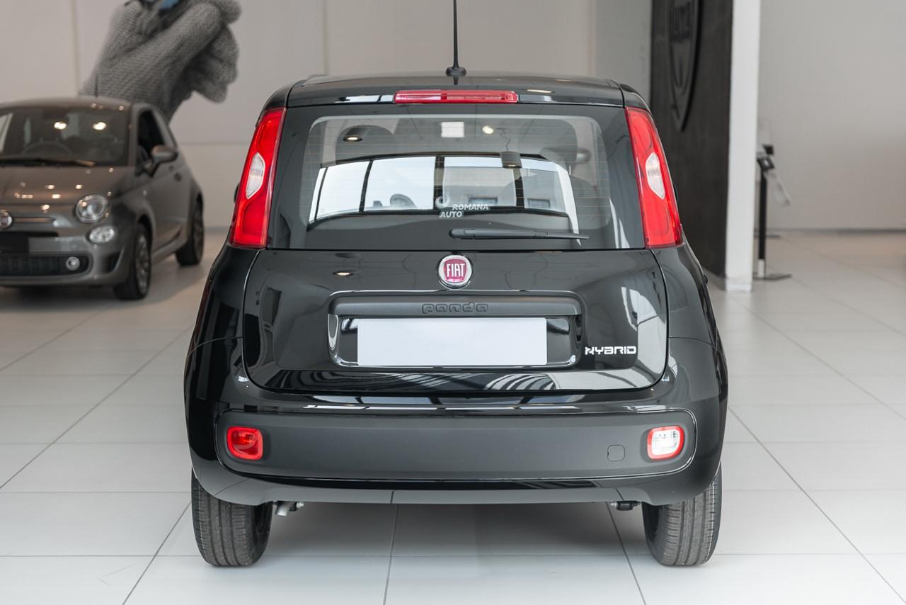 FIAT Panda III 2021 - Panda 1.0 firefly hybrid s&s 70cv