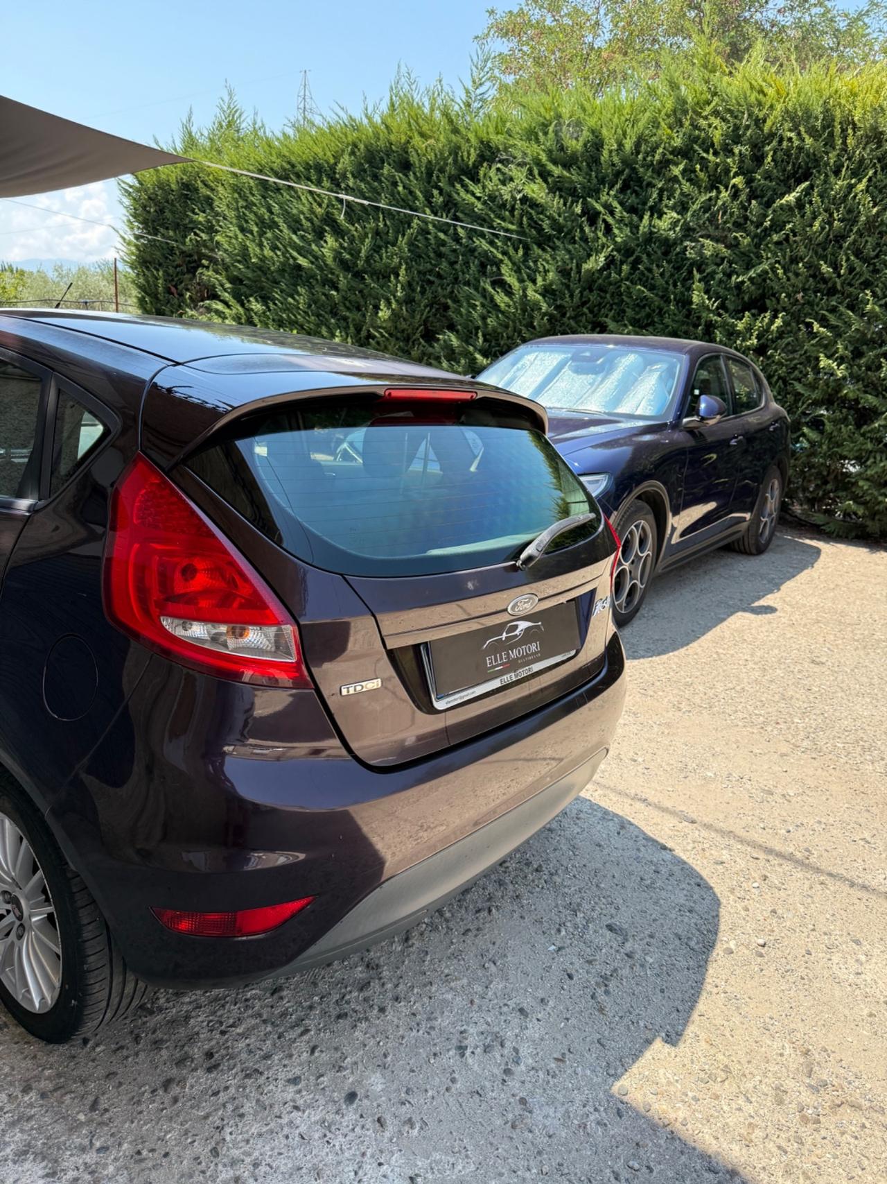 Ford Fiesta 1.4 TDCi 5p. Titanium