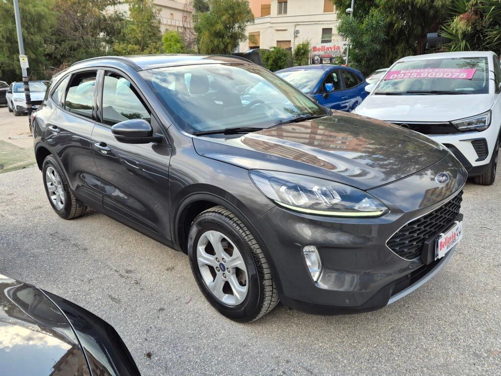 Ford Kuga 1.5 EcoBlue 120CV 2022