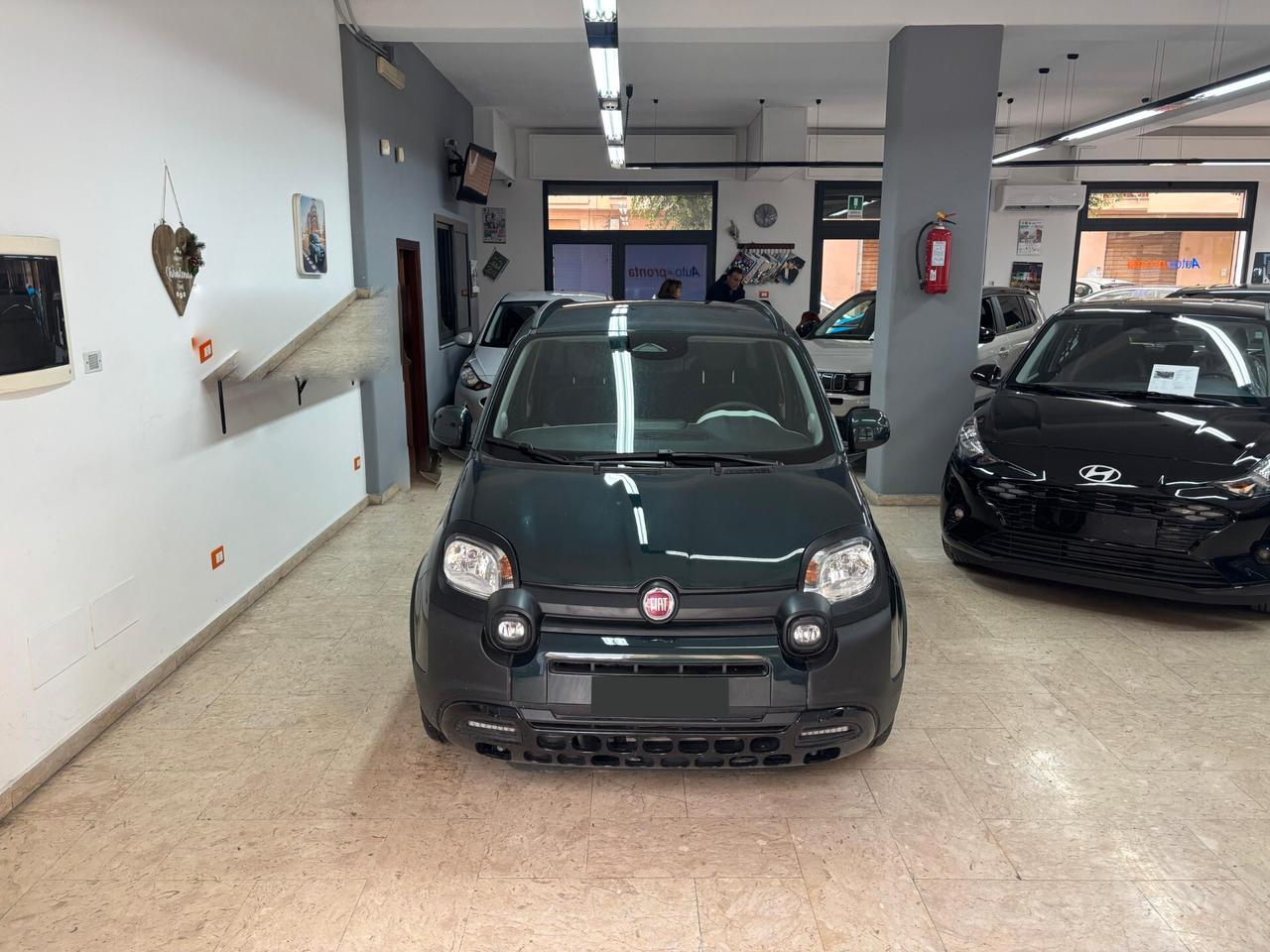 Fiat Panda Pandina Cross 1.0 Hybrid Vari Colori