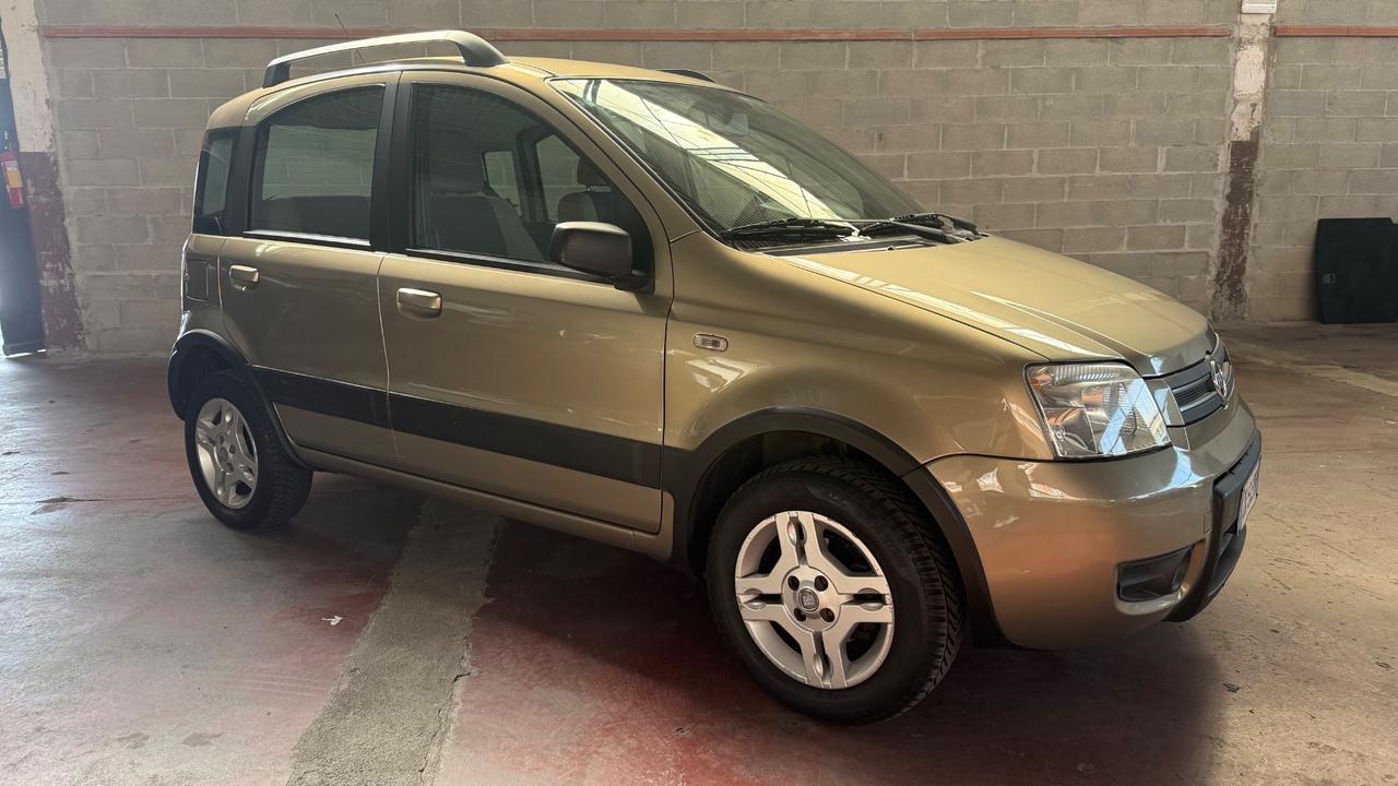 Fiat Panda 1.2 Climbing Natural Power