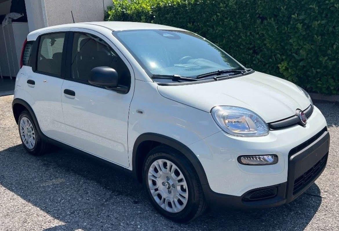 Fiat Panda 1.0 FireFly S&S Hybrid AUTO A NOLEGGIO