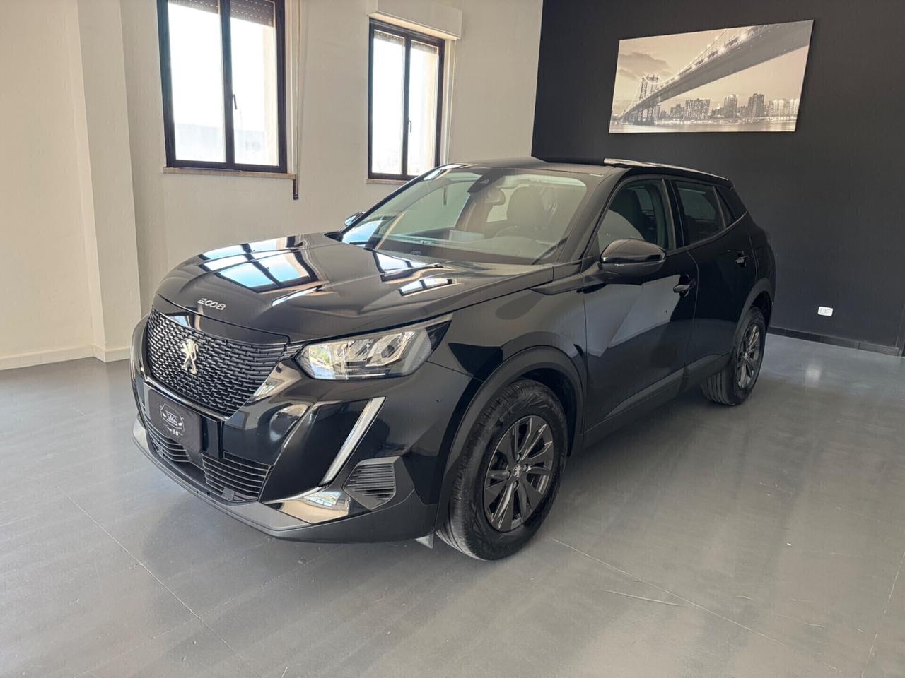 Peugeot 2008 PureTech 100 S&S Active