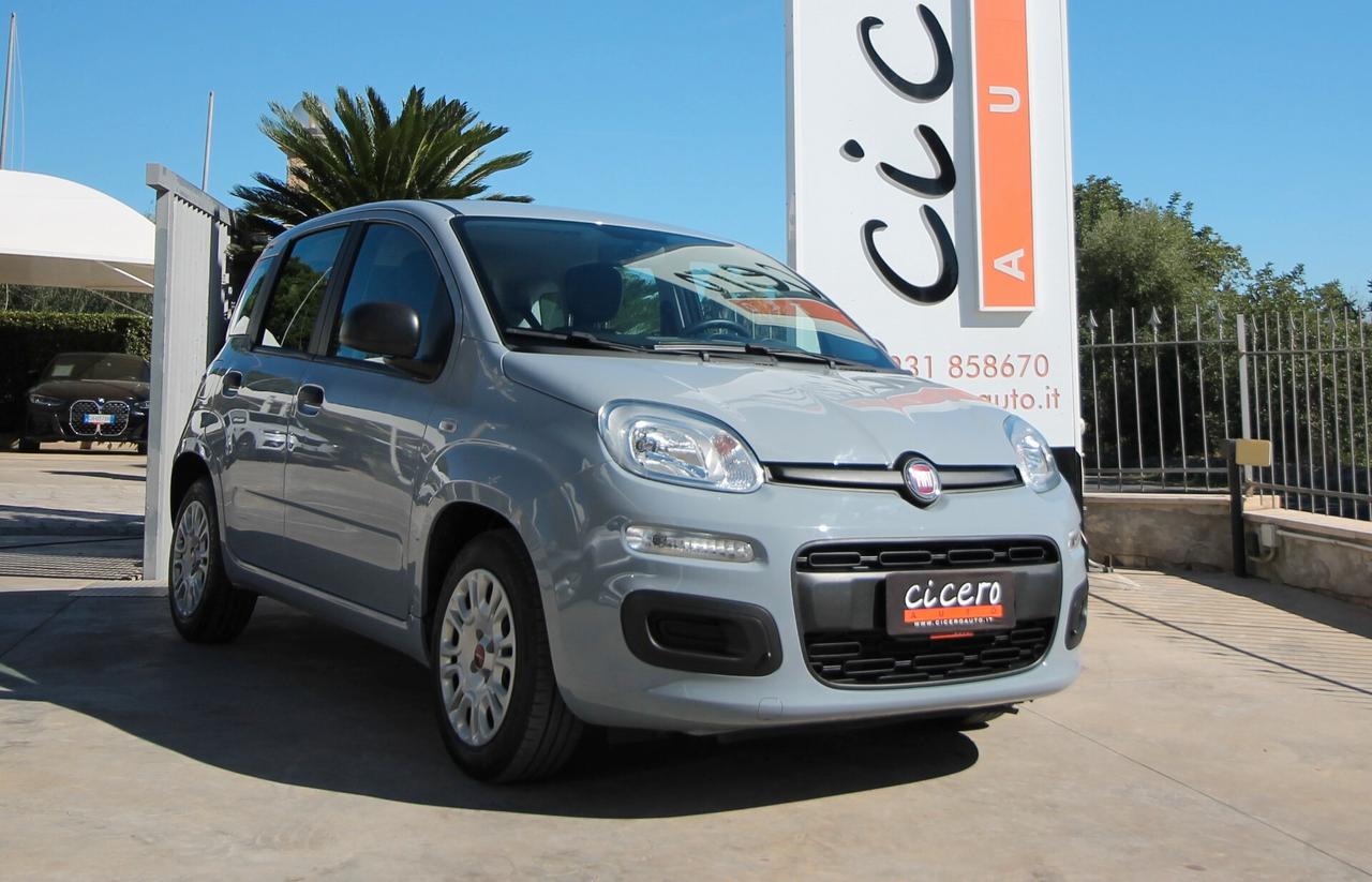 Fiat Panda 1.0 FireFly S&S Hybrid |21.920km|2022