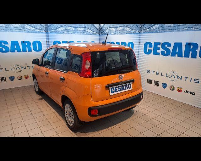 FIAT New Panda 1.2 69cv Easy s&s