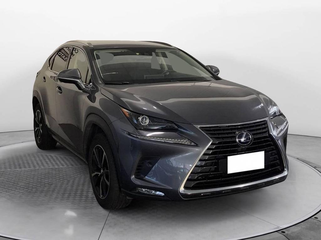 Lexus NX 300 300 2.5 Hybrid Premium 4WD CVT