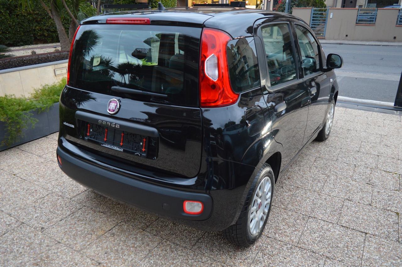 Fiat Panda 1.2 Lounge Business