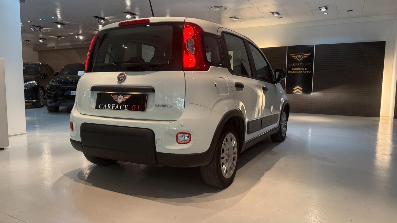 FIAT PANDA 1.0 70CV - 2023