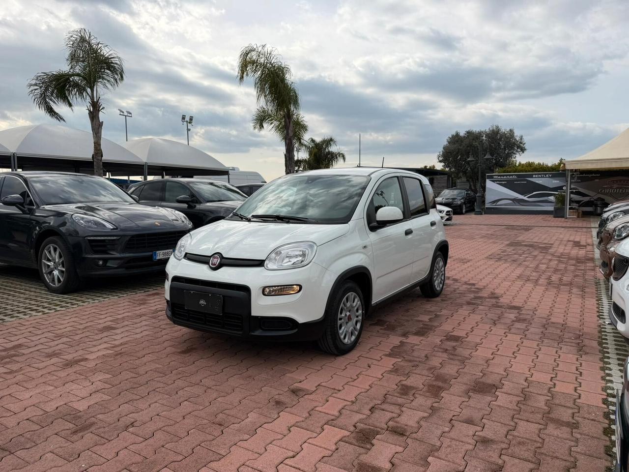 Fiat Panda 1.0 FireFly S&S Hybrid (IVA DEDUCIBILE)