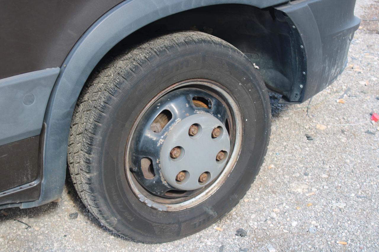 Iveco Daily 35C17LV BTor 3.0 HPT PL-TM-RG Furgone trasporto cavalli