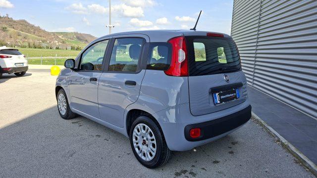 FIAT Panda 1.0 FireFly Hybrid City Life LEGGE 104 IVA ESPOSTA