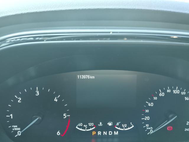 FORD Focus 2.0 EcoBlue 150 CV c.auto ST-Line Co-Pilot my2020