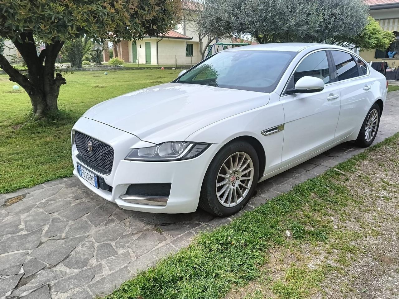Jaguar XF 2.0 D E-Performance aut. Pure