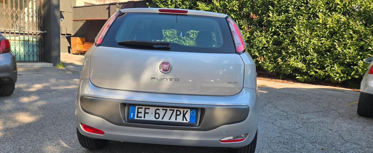Fiat Punto Evo 1.2 5 porte Dynamic