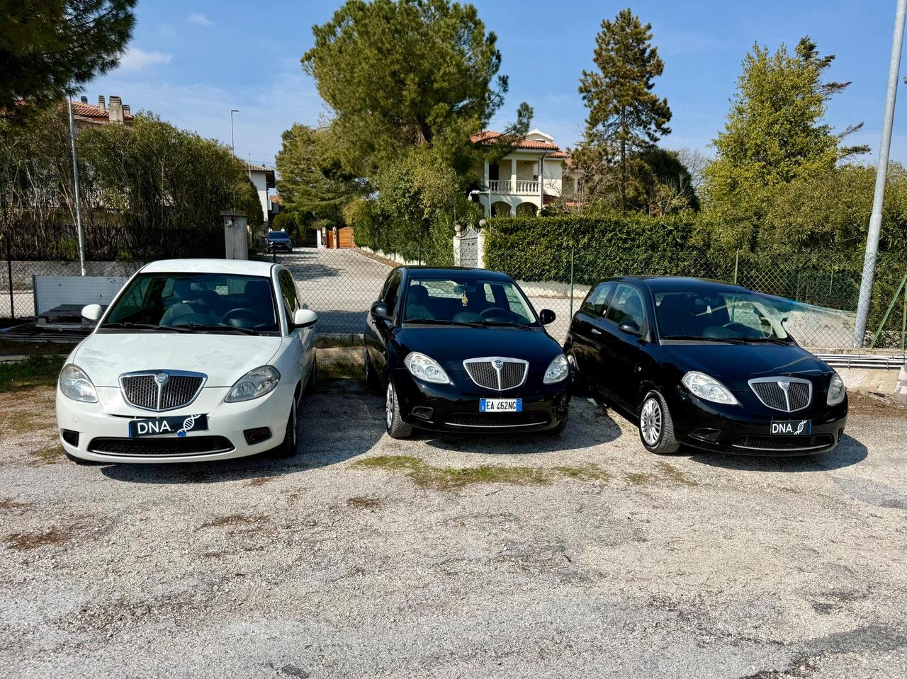 Lancia Ypsilon restayling 1.2 benzina Unicaproprietà