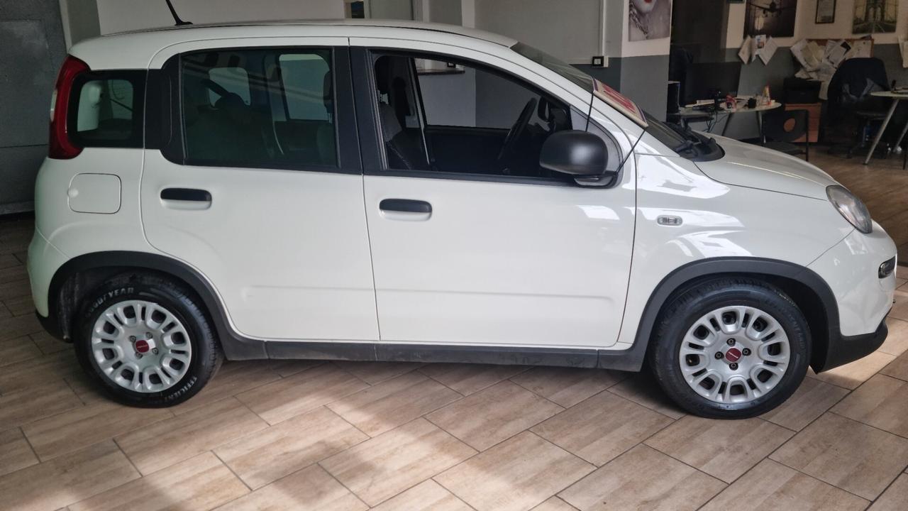 Fiat Panda 1.0 FireFly S&S Hybrid City Cross