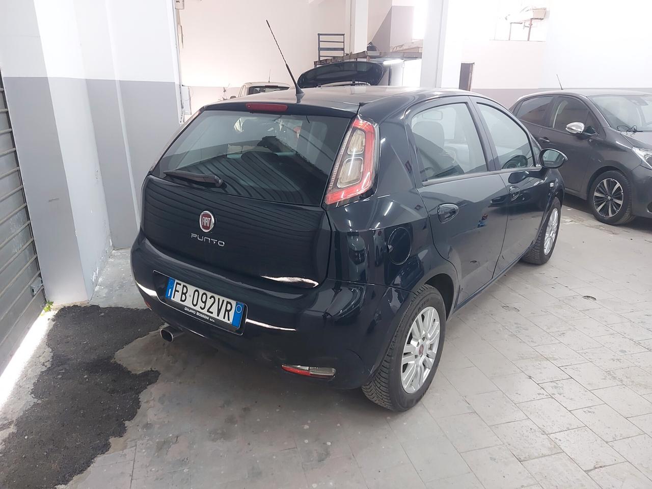 Fiat Punto 1.2 8V 5 porte Lounge ottimo stato