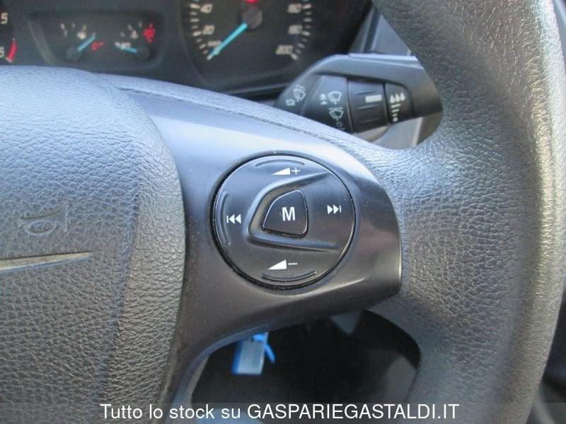 Ford Transit 350 2.0TDCi EcoBlue 130CV L3 CASSONE LUNGO