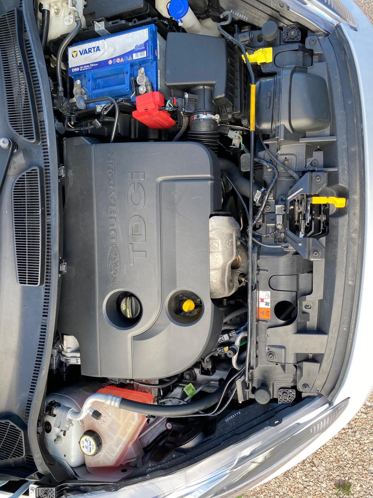 Ford Fiesta 1.5 TDCi 75CV 55 KW 3 porte Black & White Edition