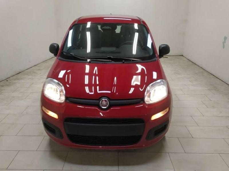 FIAT Pandina 1.0 firefly hybrid Icon s&s 70cv 5p.ti