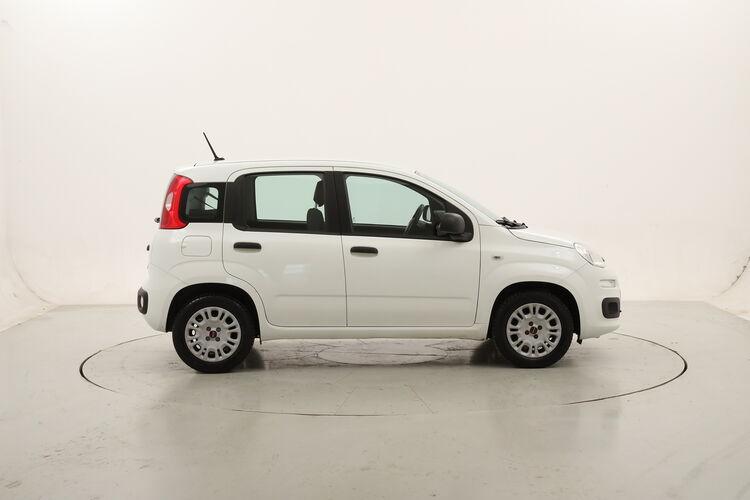 Fiat Panda Easy BR508354 1.2 GPL 69CV
