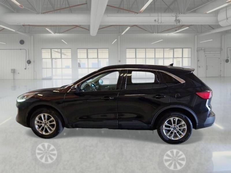 FORD KUGA 1.5 ECOBLUE 120 CV 2WD TITANIUM BUSINESS AUTO SUV