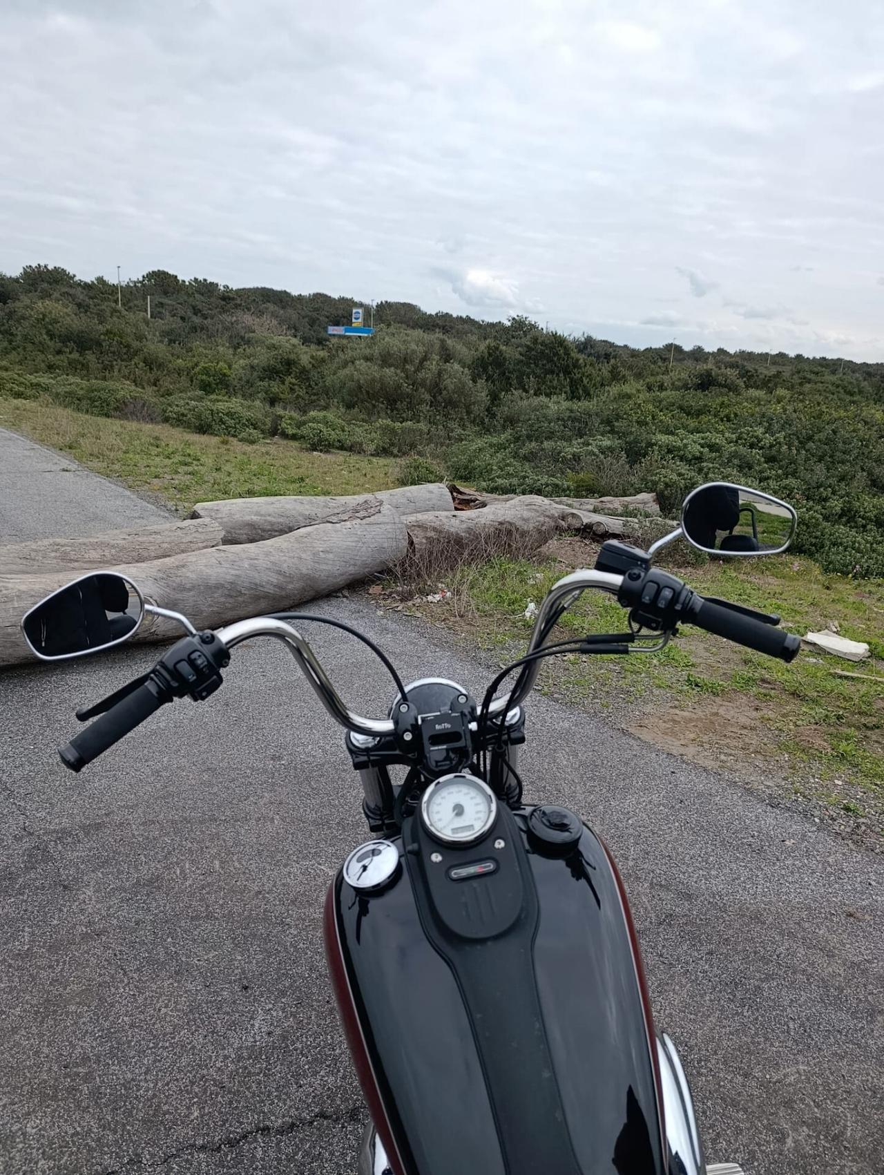 Harley-davidson Dyna Street Bob