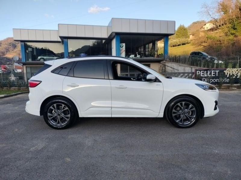 Ford Kuga Kuga 2.0 EcoBlue 120 CV aut. 2WD ST-Line