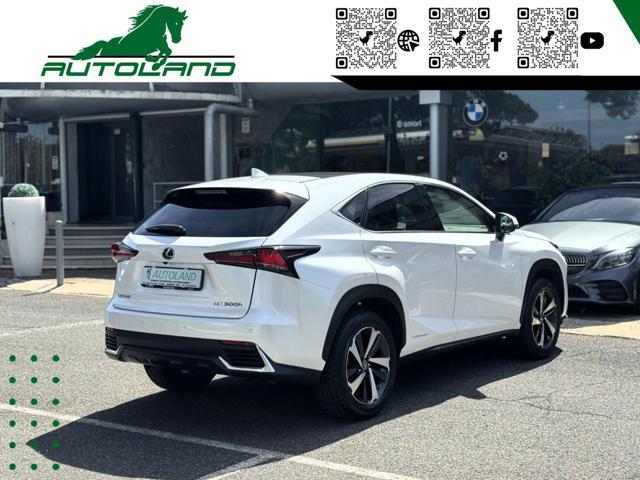 LEXUS NX 300 Hybrid 4WD Executive 155 CV