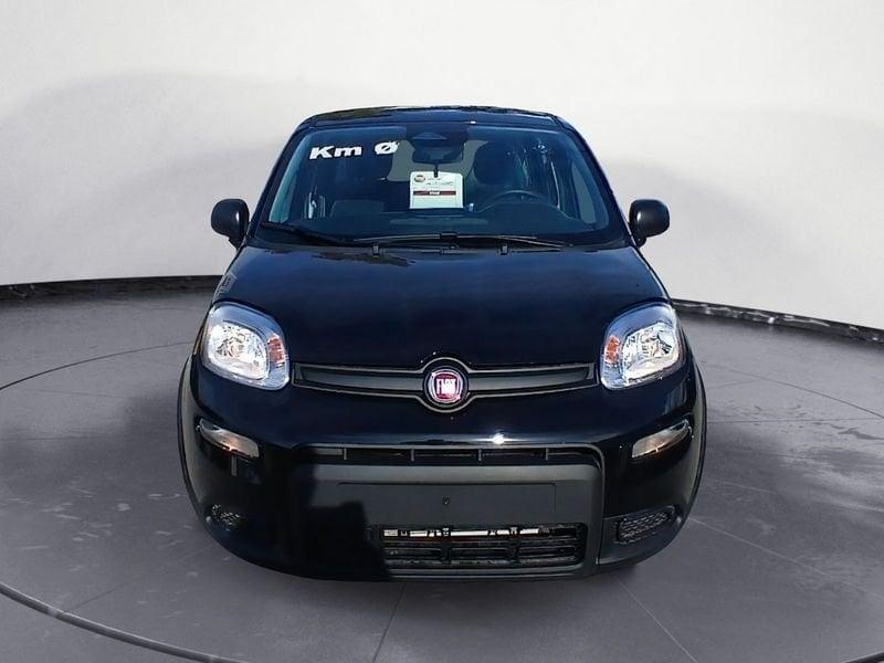 FIAT Panda NEW 1.0 70cv Hybrid Panda